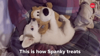 How Spanky Treats The Things He Loves