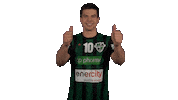 Handball-Bundesliga Sport Sticker by LIQUI MOLY HBL