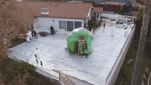 ab25 giphyupload GIF
