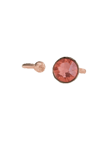 04Anillo Sticker by Limalla