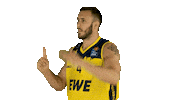 Ewe Baskets Basketball Sticker by EWE Baskets Oldenburg