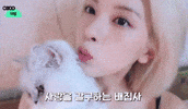 Cat Bae GIF