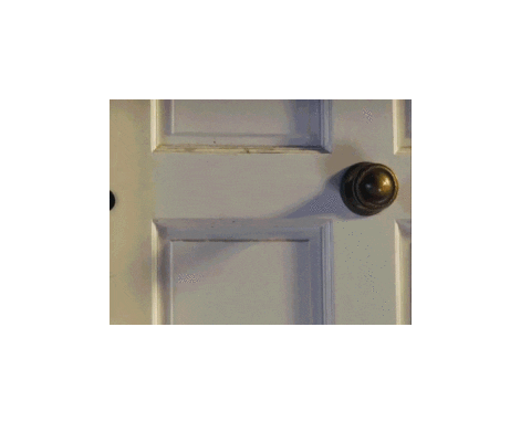 Video Photo Sticker by Teralon