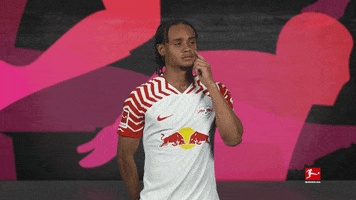 Rb Leipzig Football GIF by Bundesliga