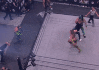 Pro Wrestling Sport GIF by ALL ELITE WRESTLING