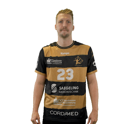 Handball Dresden Sticker by DAIKIN HBL
