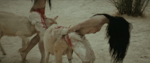 jeffzorrillagmailcom giphyupload GIF