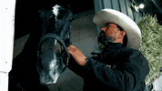 iamhorseracing horse trainer horse racing equine GIF