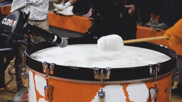 College Sports Sport GIF by Clemson Tigers