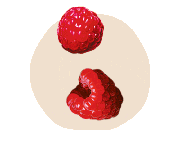 Sticker by Les Fabuleuses