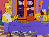 homer simpson episode 20 GIF