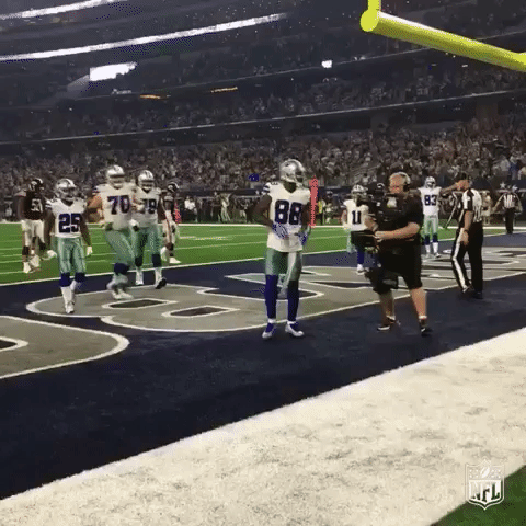 throwupthex GIF by NFL