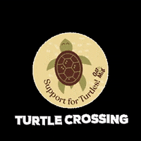 Plant Based Vegan GIF by Oat and Mill