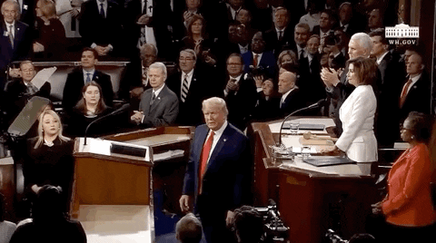 State Of The Union 2020 GIF by GIPHY News
