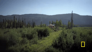 GIF by National Geographic Channel