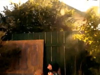 legends of the hidden temple nicksplat GIF