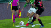 Real Betis Skills GIF by Real Betis Balompié