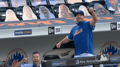 Happy Ny Mets GIF by New York Mets