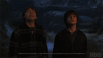 harry potter GIF by HBO