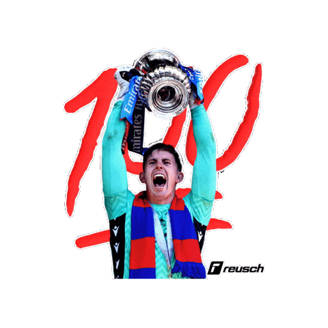 Champion Goalkeeper Sticker by Reusch