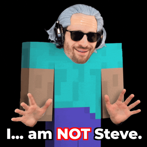 Video Games Steve GIF