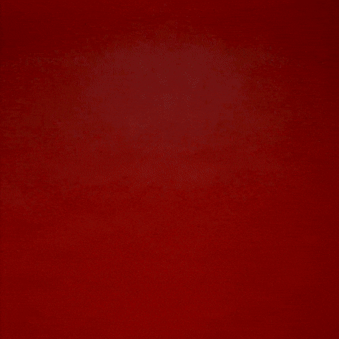 Sheridan Wilson GIF by Texas Tech Football