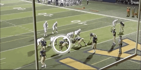 gregsmithe714 giphyupload GIF