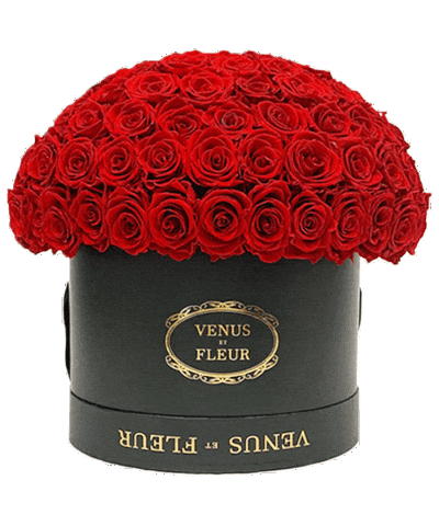 Valentines Day Love Sticker by Venus ET Fleur