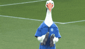 Bundesliga Clap GIF by Holstein Kiel
