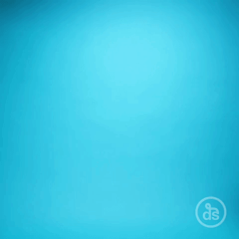 new year cheers GIF by dschwen