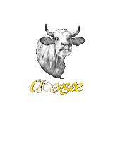 TouristInfoUebersee cow bio bayern landwirtschaft Sticker