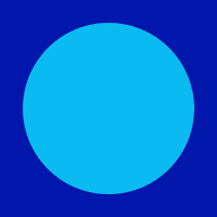 Cuidafortaleza GIF by Capitão Wagner 44