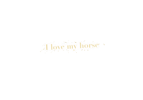 Ruitersportcentrummeulendijks horse liefde horses equestrian Sticker
