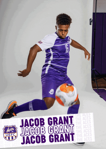 Purple Aces Evansville GIF by UE Athletics