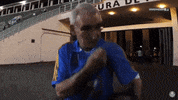 escudo aqui ÃÂ© palmeiras GIF by SE Palmeiras