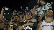 escudo love GIF by SE Palmeiras