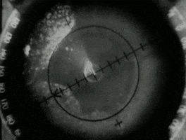 war history GIF