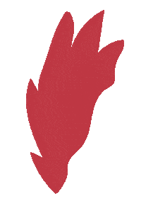 Fire Chicken Sticker by Sovena