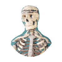 Skeleton Sticker by imoji