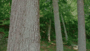 New England Guitar GIF by Topshelf Records