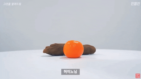 yj_jane giphygifmaker GIF