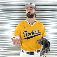 Toledo Baseball GIF by Toledo Rockets