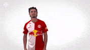 Andre Ramalho Yes GIF by FC Red Bull Salzburg