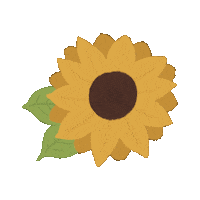 Harry Styles Summer Sticker