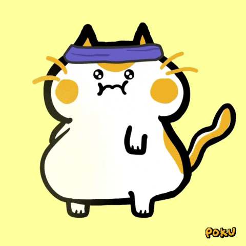 Cat Workout GIF by Poku Meow