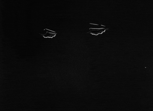 sad black and white GIF