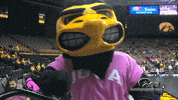 volleyball vb GIF by University of Iowa Hawkeyes Athletics