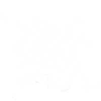Skate Surf Sticker by Shakaline Official
