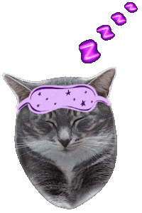 Cat Sticker