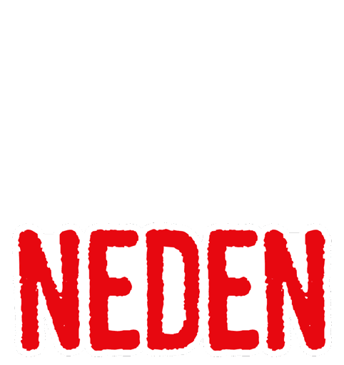 Netflixturkiye Love101 Sticker by NETFLIX